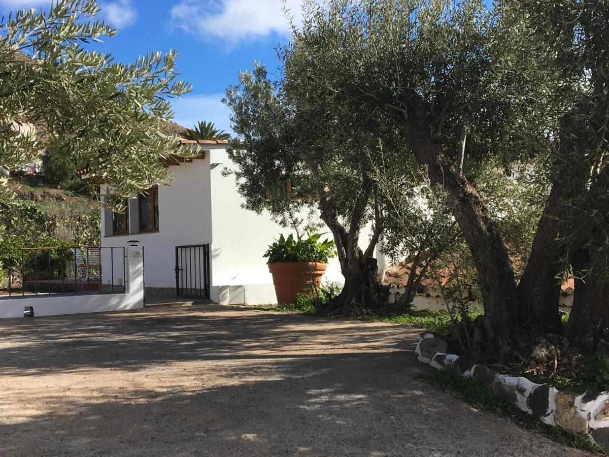 El Regalo De Mis Abuelos Santa Lucia Exteriör bild